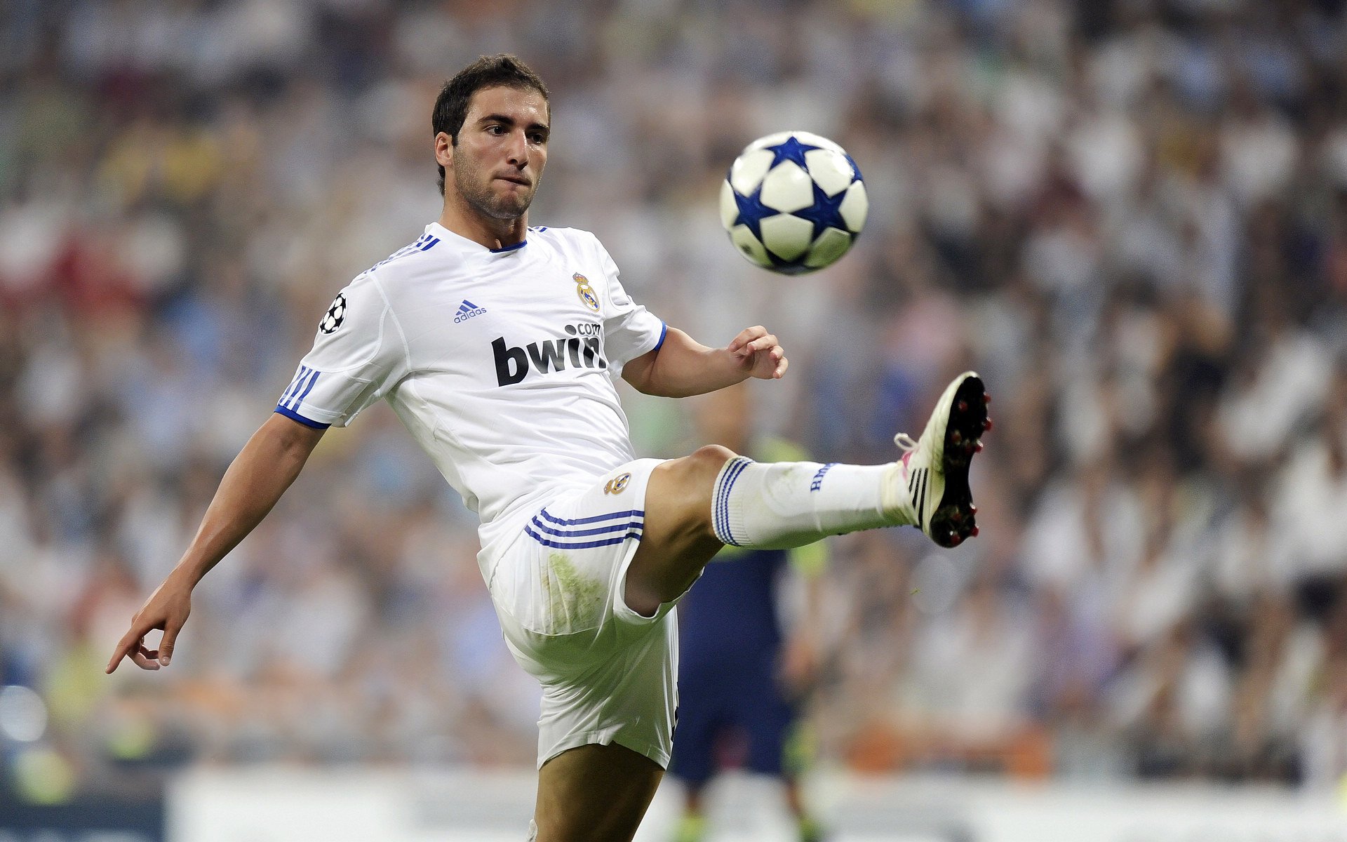 中国花样游泳队巴黎奥运备战进入冲刺阶段 新编排惊艳亮相