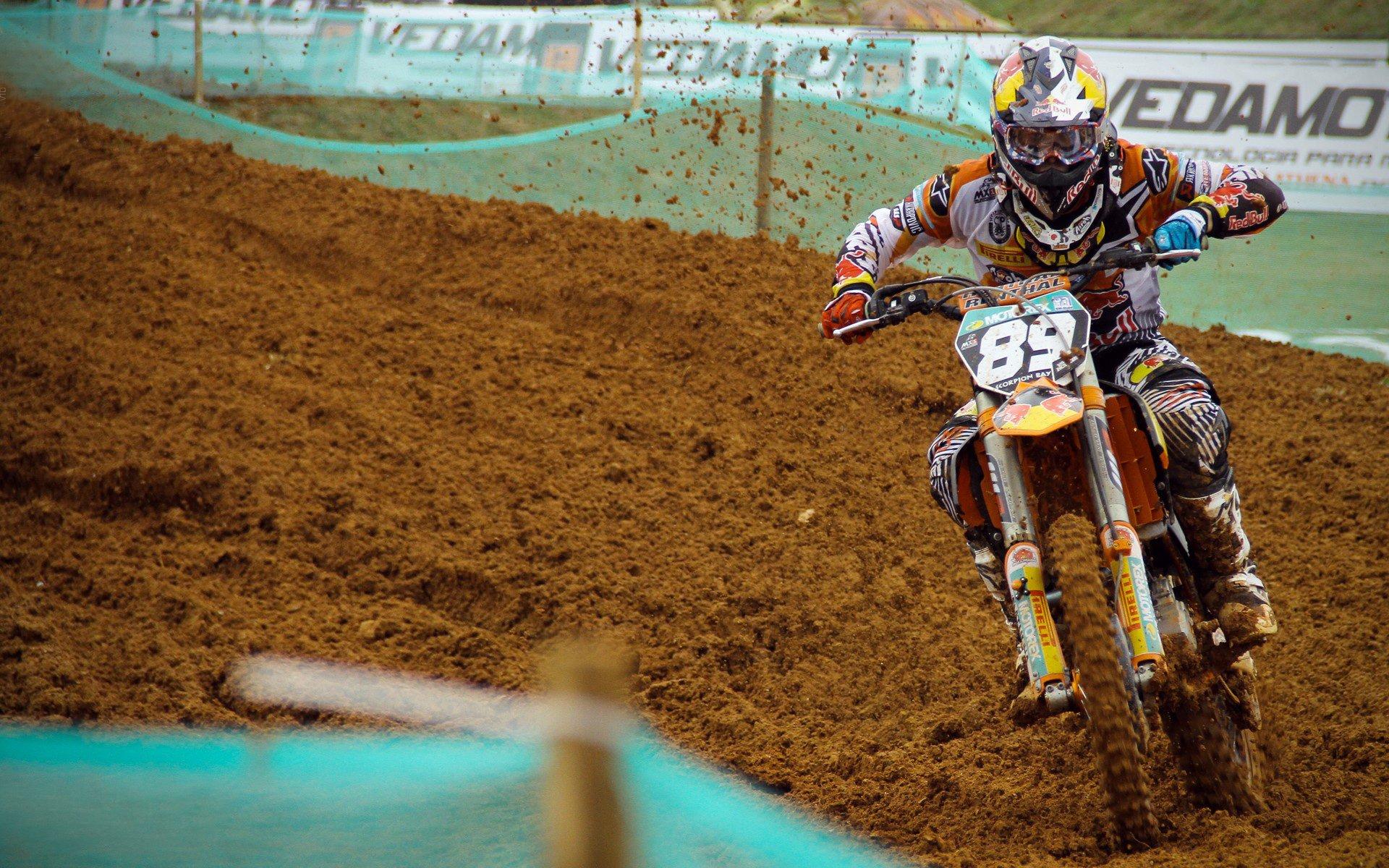 刘易斯家族成员现身伦敦碗引关注，热刺客战西汉姆联或迎高层考察时刻